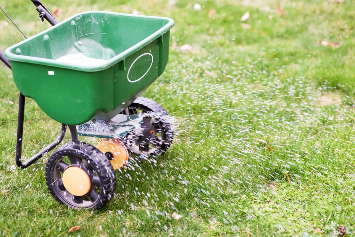 Lawn Care: When To Fertilize