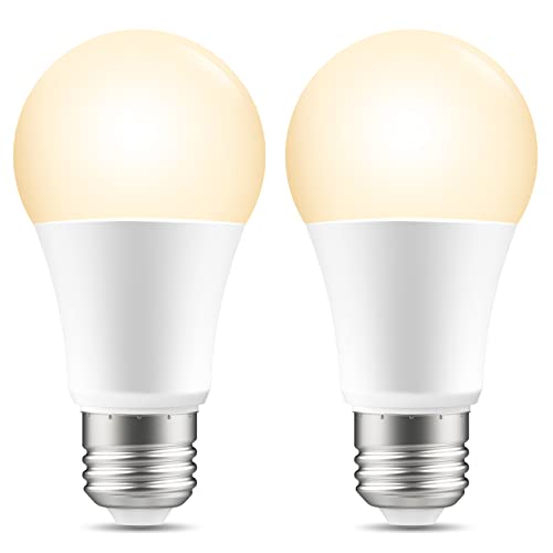 LB1 Smart LED Bulb with Voice Control and Remote Access