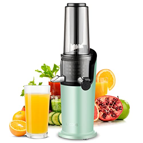 Lecone Compact Masticating Slow Juicer
