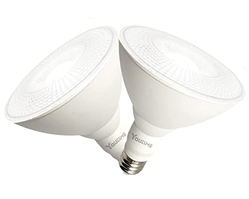 LED Par38 Flood Light Bulbs: Energy-efficient Outdoor/Indoor Lighting