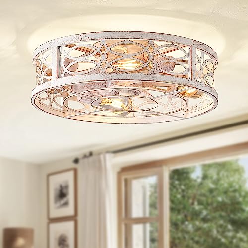 LEDIARY Caged Ceiling Fans With Lights Remote Control