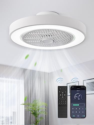 LEDIARY Low Profile Ceiling Fan With Light