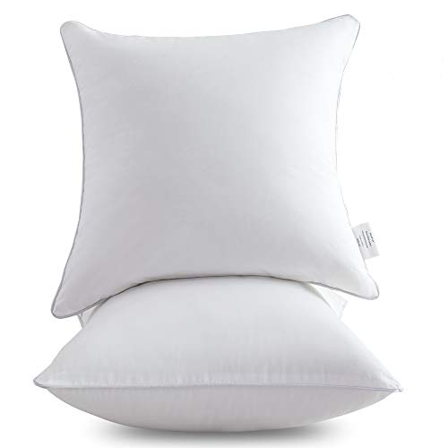 Leeden 18x18 Cotton Cover Sofa Pillow Inserts - Set of 2