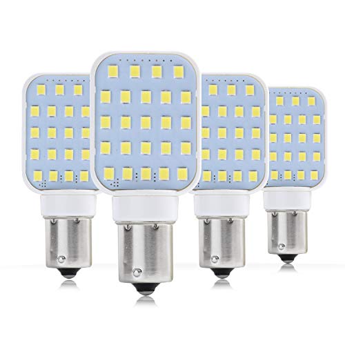 13 Amazing 1141 LED Bulb Rv Bright White For 2024 Storables   Leisure Led Rv Interior Led Light Bulbs 4 Pack 41ccsZBFkL 