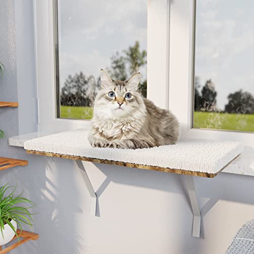 Lesnox Cat Window Perch
