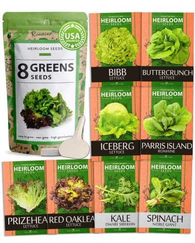Lettuce & Salad Greens Seed Vault - 4,000+ Non-GMO Vegetable Seeds