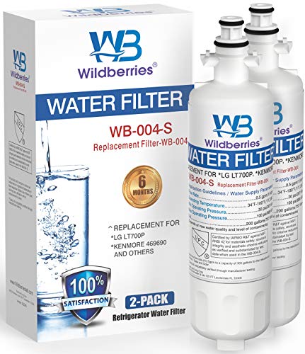 LG Refrigerator Water Filter Replacement