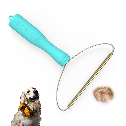 The 7 Best Carpet Rakes for Pet Hair According to Rover Pet Parents