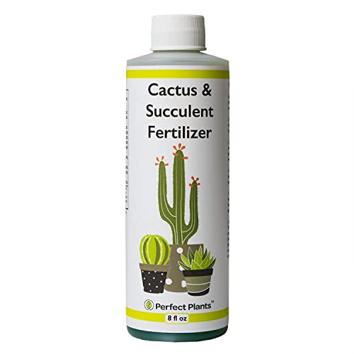 Liquid Cactus & Succulent Fertilizer - Nourish Your Plants!