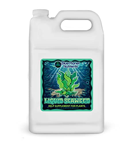 Liquid Seaweed Concentrate for Plants