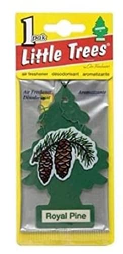 LITTLE TREES Royal Pine Air Freshener | 3 Pack