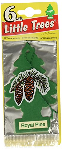 LITTLE TREES Car Air Freshener | Royal Pine | 6 Pack