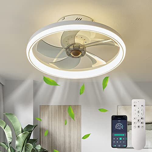 LMiSQ Modern Ceiling Fans with Lights