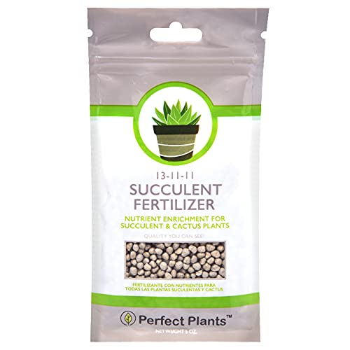 Long Lasting Gentle Plant Food Formula for Succulents and Cacti