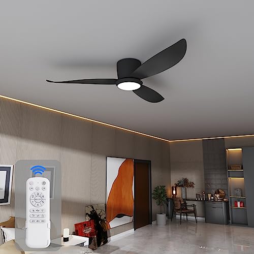 Low Profile Ceiling Fan Light