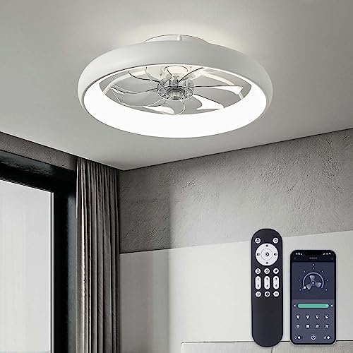 LUDOMIDE Ceiling Fans with Lights and Remote