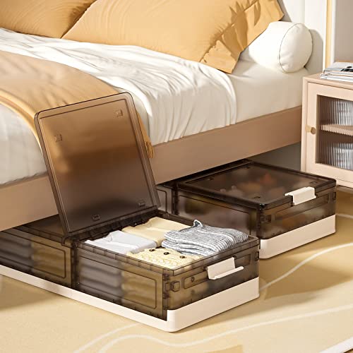 Luseba Under Bed Storage Box with Lid