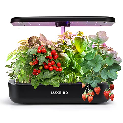 Luxbird Hydroponics Growing System â€” Indoor Herb Garden Starter Kit