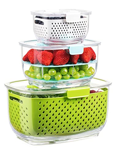 shopwithgreen 2 Pack 68oz Berry Keeper Container, Fruit Produce Saver Food Storage  Containers with Removable Drain Colanders, Vegetable Fresh Keeper Set, Refrigerator Organizer