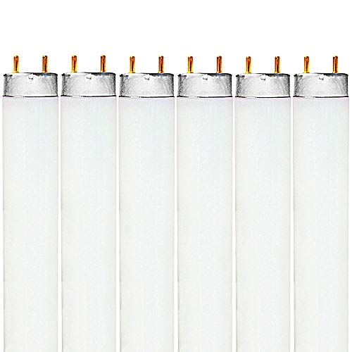 Luxrite F32T8/841 32W 48 Inch T8 Fluorescent Tube Light Bulb, 4100K Cool White, 2800 Lumens, G13 Medium Bi-Pin Base, LR20732, 6 count (Pack of 1)