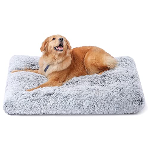 Luxurious and Comfortable sycoodeal Dog Bed