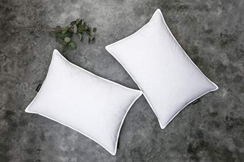Luxurious Grey Goose Feather Down Pillows