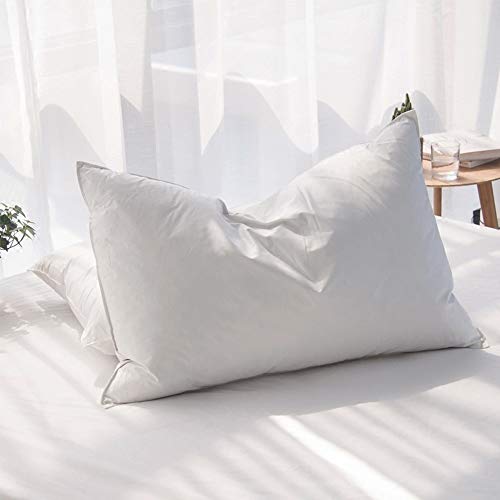 Luxury Goose Feathers Down Pillow