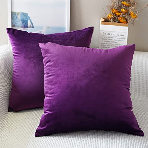 Luxury Purple Velvet Pillow Covers