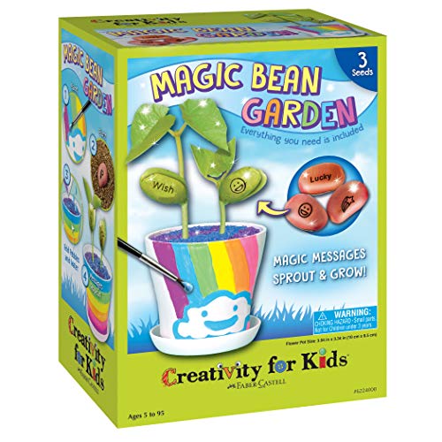 Magic Bean Garden Kit For Kids