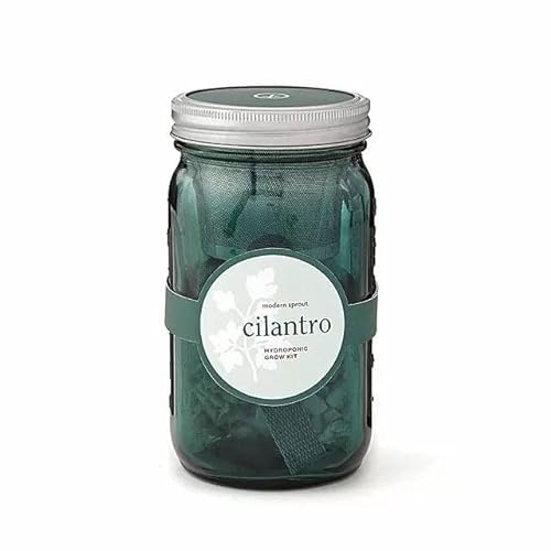 Mason Jar Indoor Herb Garden - Organic Cilantro