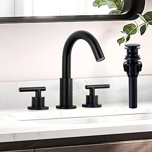 Matte Black Bathroom Faucet with Pop Up Drain