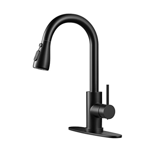 Matte Black Kitchen Faucet with Pull-Down Spray