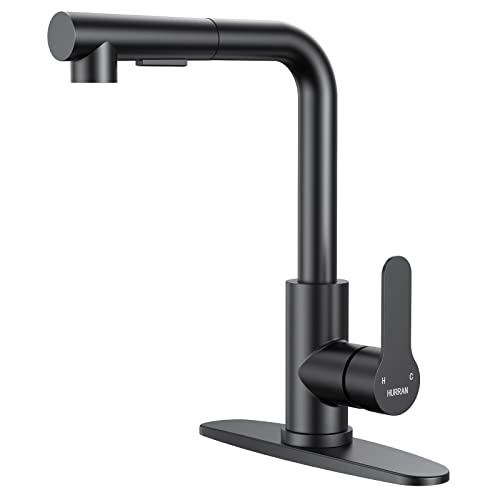 Matte Black Kitchen Faucet with Pull Down Sprayer
