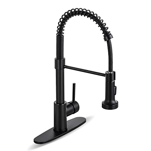 Matte Black Kitchen Faucets with Pull Down Sprayer