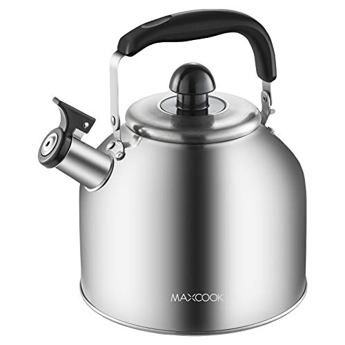 Induction Cooker Whistling Kettle from Apollo Box