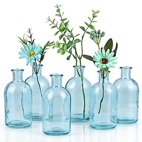 MDLUU 6-Pack Glass Bud Vase, Apothecary Bottle Vase, Decorative Glass Bottle for Wedding Centerpiece, Home Decor (Blue)