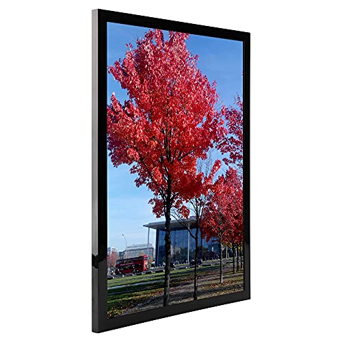 15 Best Magnetic Picture Frames For Refrigerator 4X6 for 2024