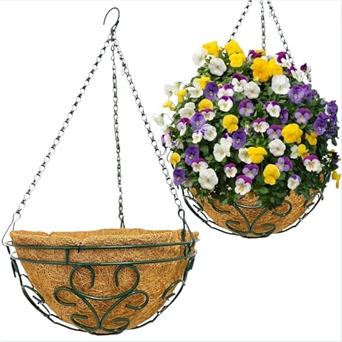 Metal Hanging Planter Basket with Coco Liner Chain