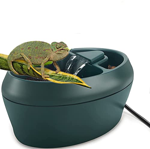 2-in-1 Reptile Water Dispenser & Treats Trough by MIDOGAT