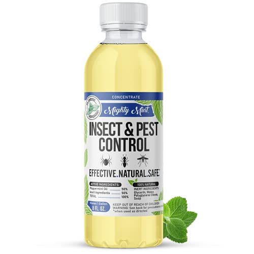Mighty Mint Peppermint Concentrate: Natural Pest Control