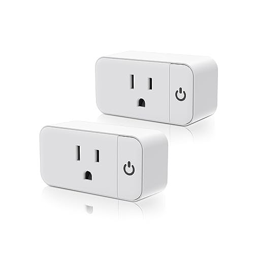 Mini Smart Plug with Voice Control and Timer Function