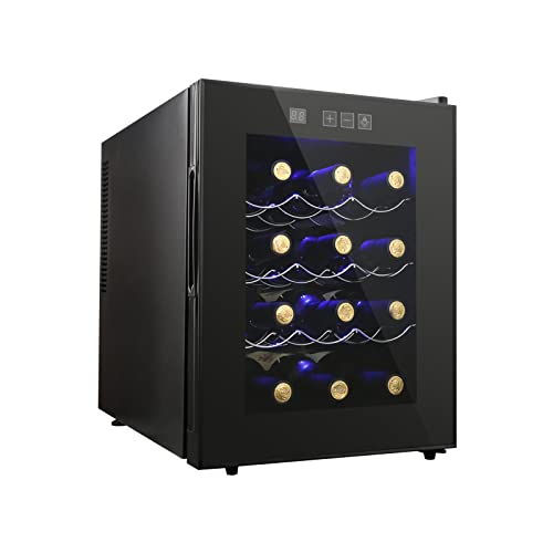 Mini Wine Fridge with Digital Temperature Control