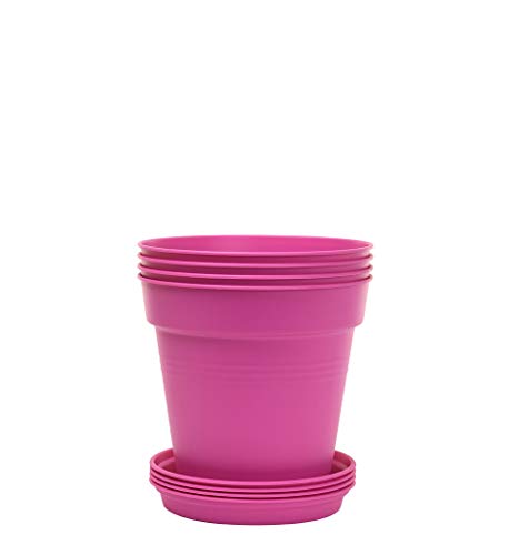 Mintra Home Garden Pots - Vibrantly Colored Planters for Your Outdoor Space