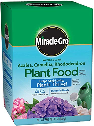 Miracle-Gro Acid Loving Plant Fertilizer