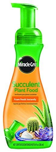 Miracle Gro Foaming Succulent Plant Food