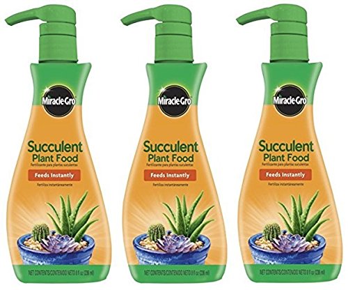 Miracle-Gro Succulent Plant Food