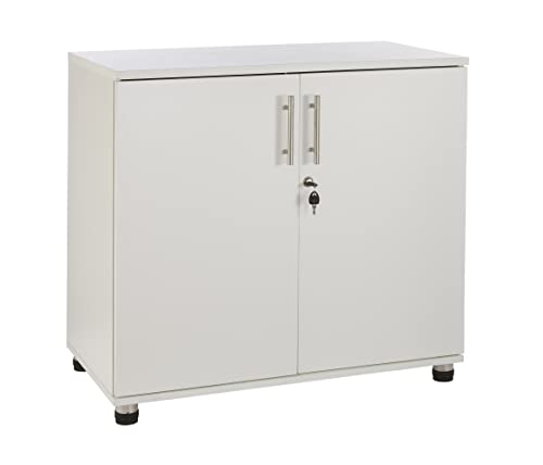 MMT Furniture 2 Door Locking Office Storage Cabinet