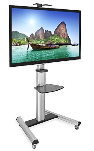 Mobile TV Stand for Flat Screen Televisions