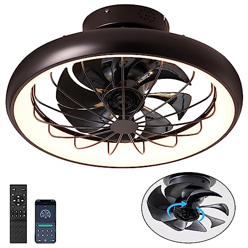 Modern Ceiling Fan with LED Lights: Stylish and Functional