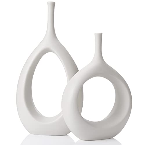 Modern Decorative Vases for Home Decor